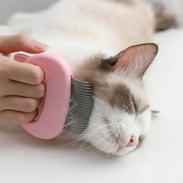 Vintage Shell-Shaped Pet Massage Brush