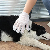 10 Pcs Pet Dry Cleaning Gloves