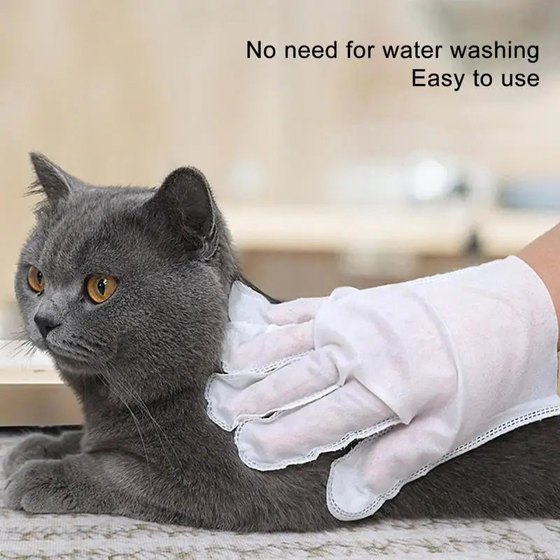 10 Pcs Pet Dry Cleaning Gloves